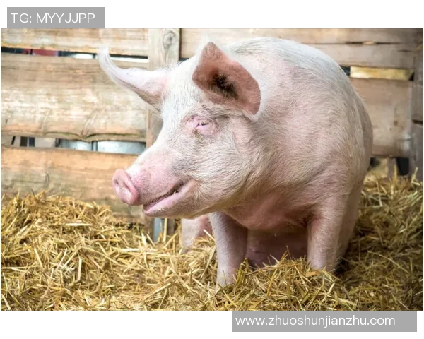 成都街舞队的表现分析：控制技巧与失误的深度探讨